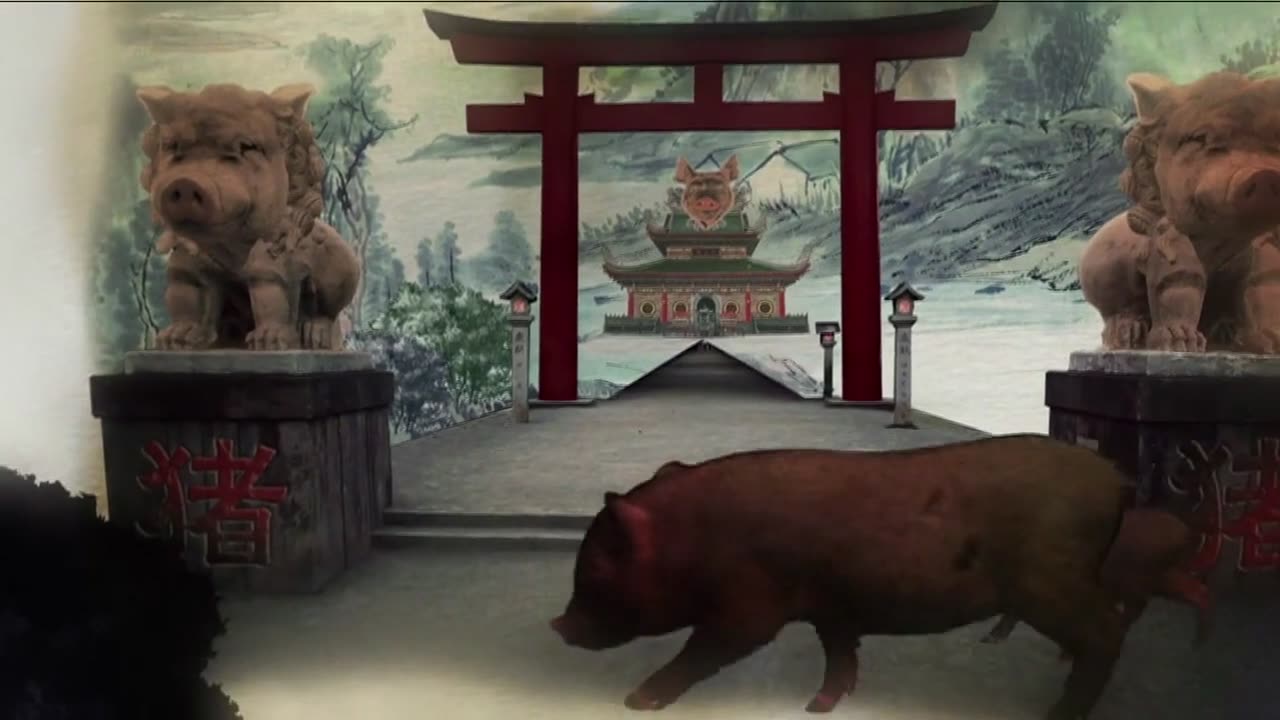 VIDEO "China On a Plate"