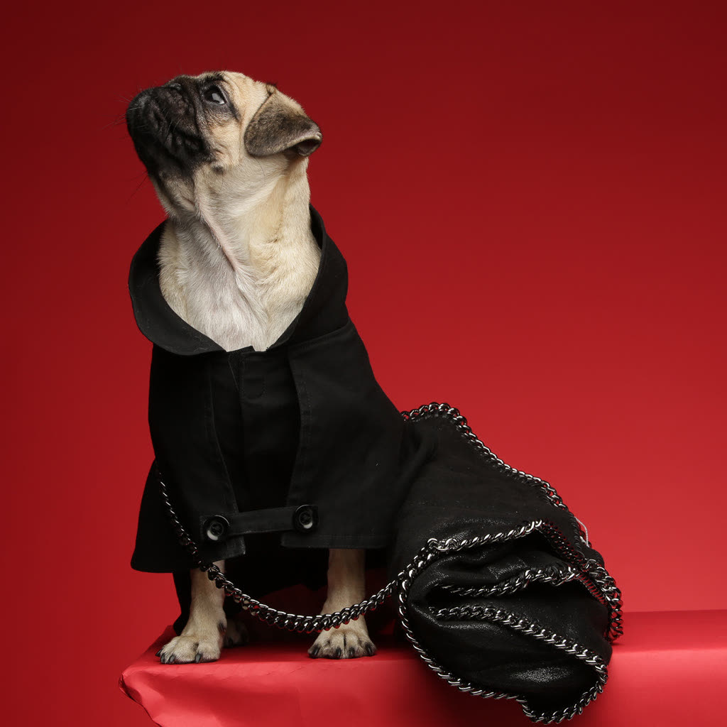 GLAMDOG
