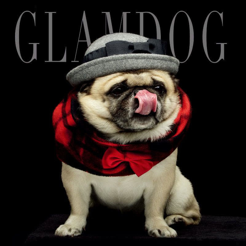 GLAMDOG