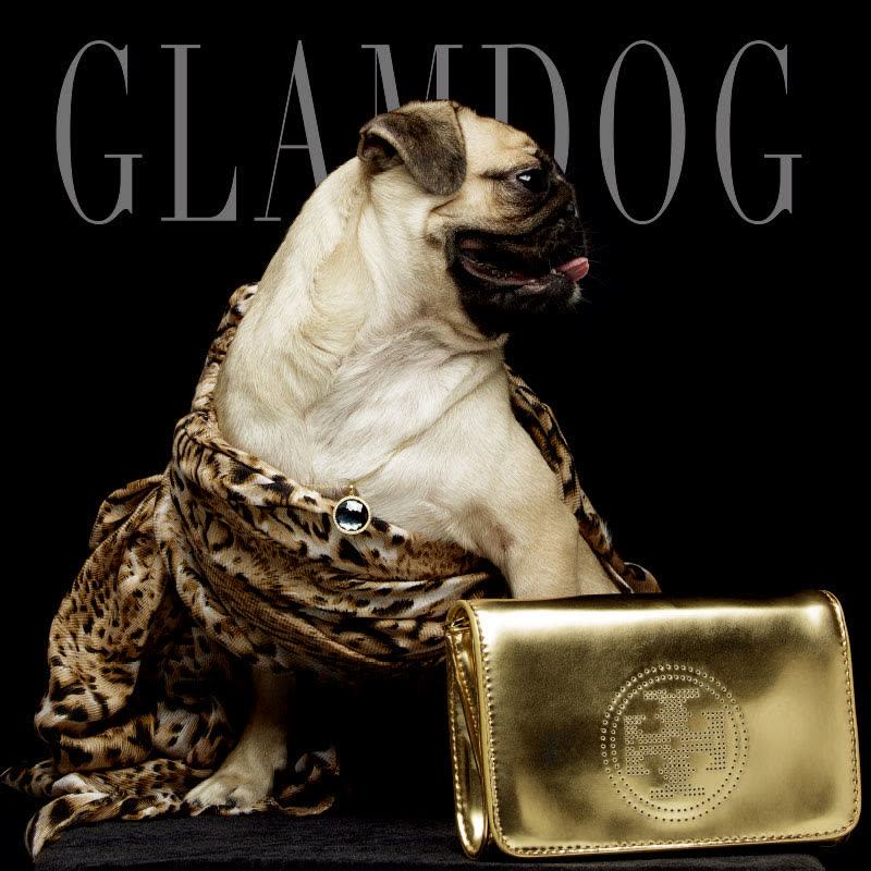 GLAMDOG