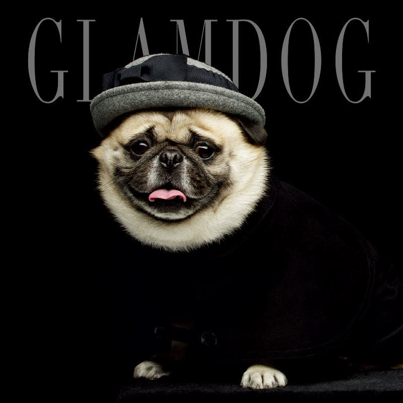 GLAMDOG