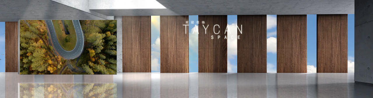 Porsche Taycan Space